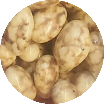 Rabdi Almond